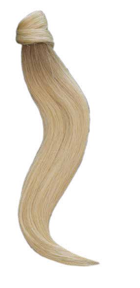 Nuova Coda Royal Tail - immagine 3